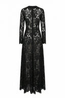 Vyn Lace A-line Maxi Dress