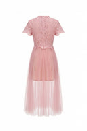 Niven Scallop Lace Midi Dress