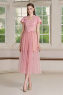 Niven Scallop Lace Midi Dress